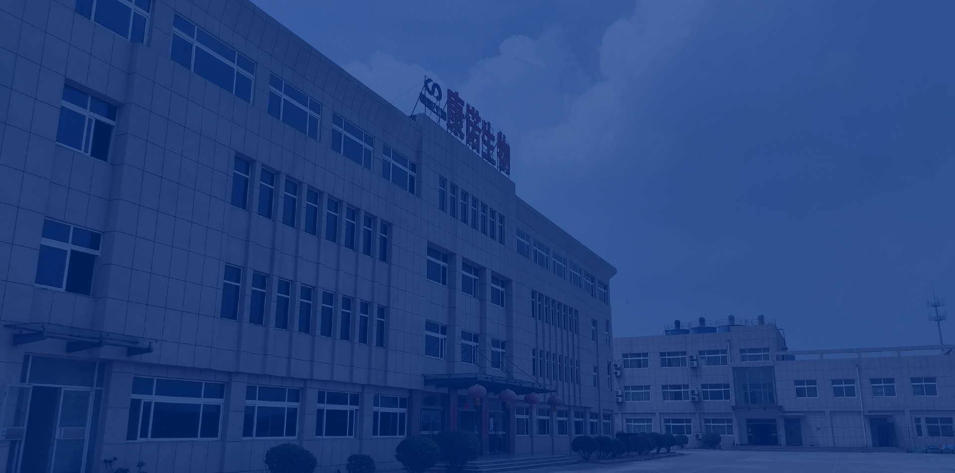    Shandong Kangnuo Bioengineering Co.,Ltd.          